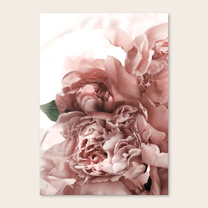 Blush Pink Floral Canvas Print by PrintsProject Society6
