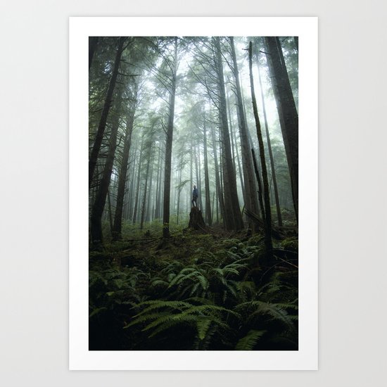 Olympic Forest Art Print