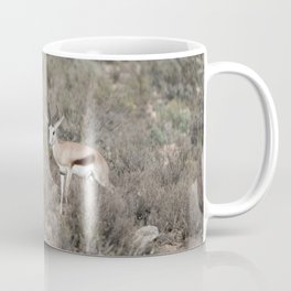 Springbok at Sunrise in South Africa | Wall Art Print Cape Town WIldlife Travel Photography Coffee Mug