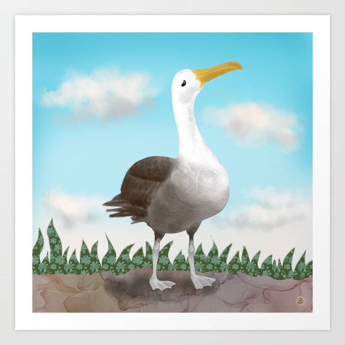 The Pretty Waved Albatross from Galapagos Art Print
