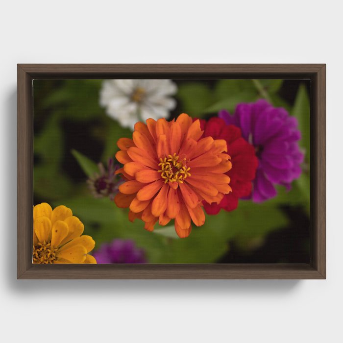 Flower Power Framed Canvas