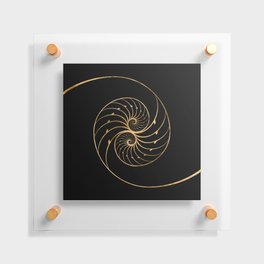 Nautilus Shells - Golden Pair Floating Acrylic Print