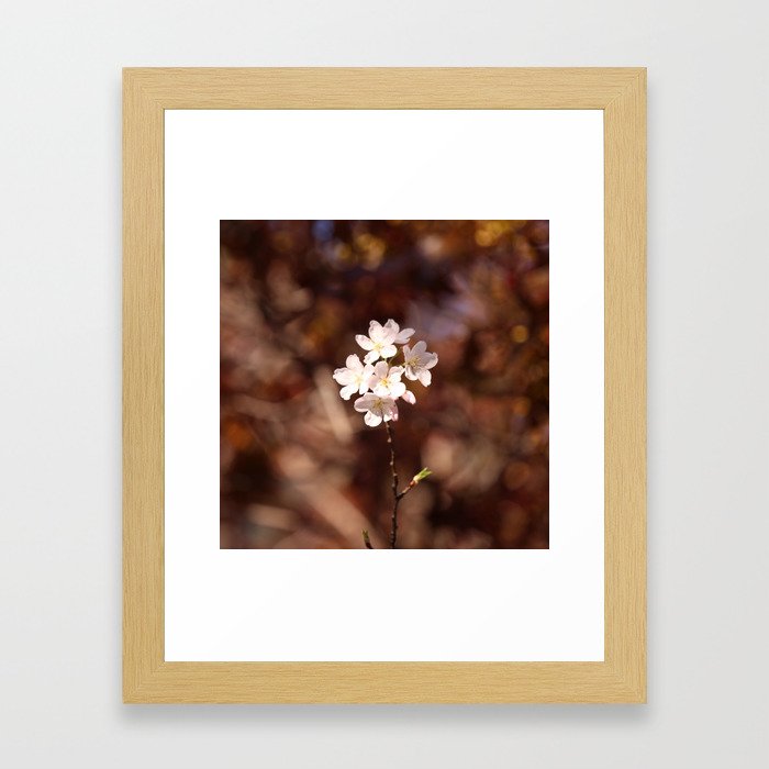 Blossom (Square) Framed Art Print