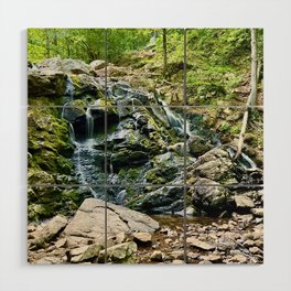 Waterfall in the Valley Wood Wall Art