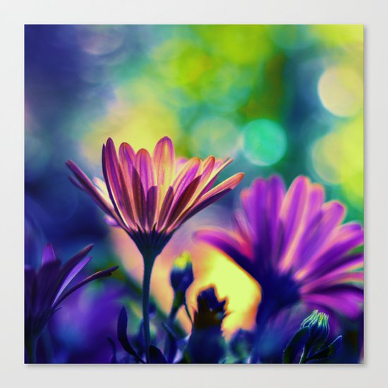 Sun in the Heart Canvas Print