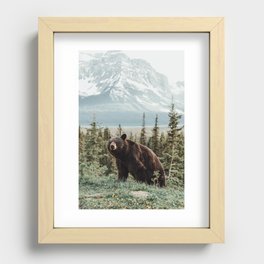 Bear Bear Recessed Framed Print