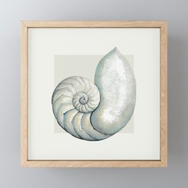 Nautilus sea shell in neutral Framed Mini Art Print