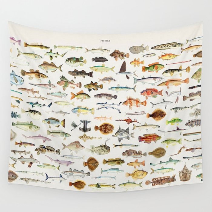 Illustrated Colorful Southern Pacific Exotic Game Fish Identification Chart Wall Tapestry
