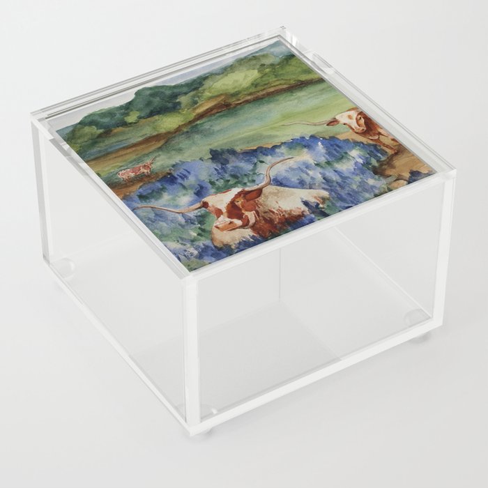 Just the Longhorns, Hanging Out Acrylic Box