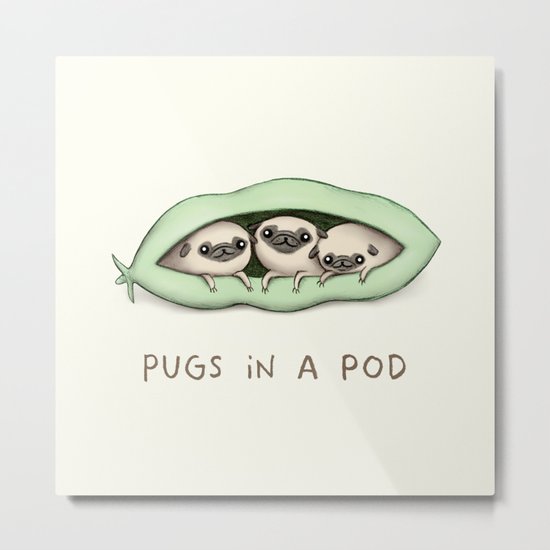 Pugs in a Pod Metal Print