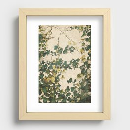 Ivy Leaves Recessed Framed Print