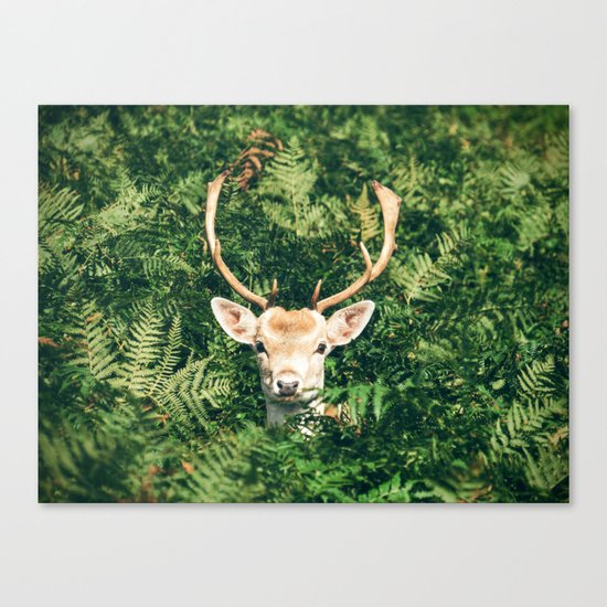 deer cerf 4 Canvas Print