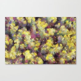 Flying colors of spring Canvas Print