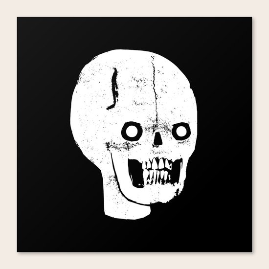 FREDD Canvas Print