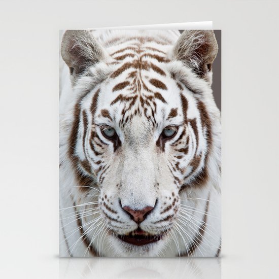TIGER TIGER Stationery Cards