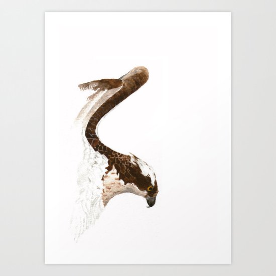 Osprey Art Print