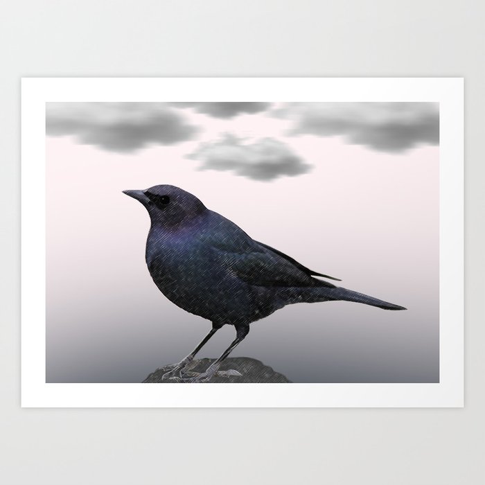 Storm Bird Art Print