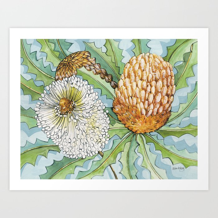 Banksia Art Print By Helenashley Society6