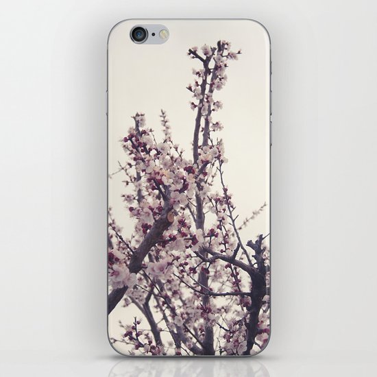 blossom iPhone & iPod Skin