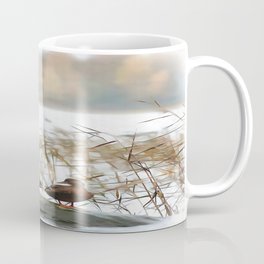 Ducks On A Pond Coffee Mug