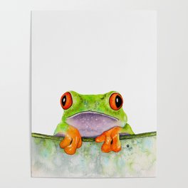 frog behind leaf  Poster