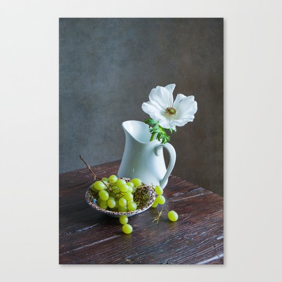 White Anemone Canvas Print