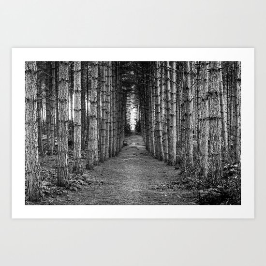 The Quiet Walk Art Print