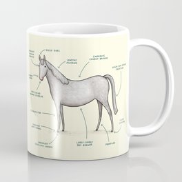 Anatomy of a Horse Mug