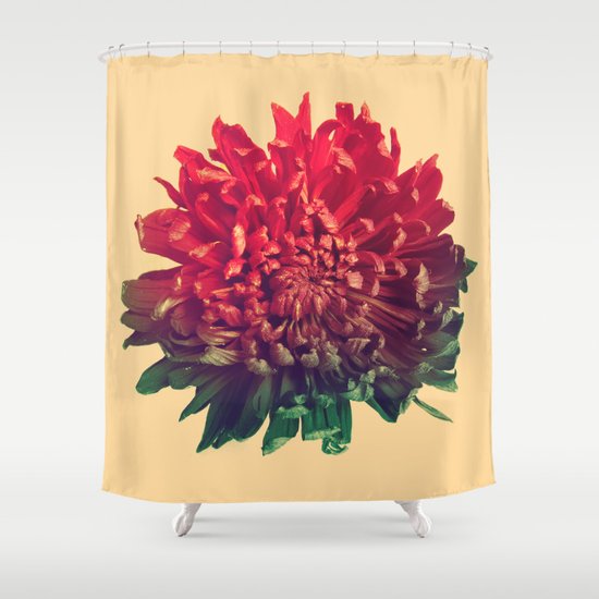 Celebration Shower Curtain
