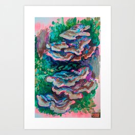 Pink Turkey Tail Fungi Art Print