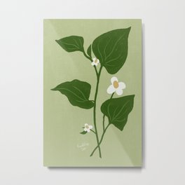 Diep Ca - Vietnamese Fish Mint // Sage Metal Print | Ramblingcat, Botanical, Viet, Digital, Flower, Herbal, Herb, Vietnamese, Pho, Leaves 