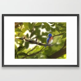 Grandma's blue bird Framed Art Print