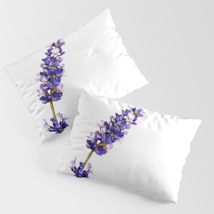 Mediterranean Lavender on White Pillow Sham