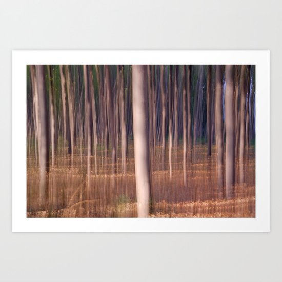 magical forest at sunset Art Print