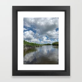 Everglade Sky Framed Art Print
