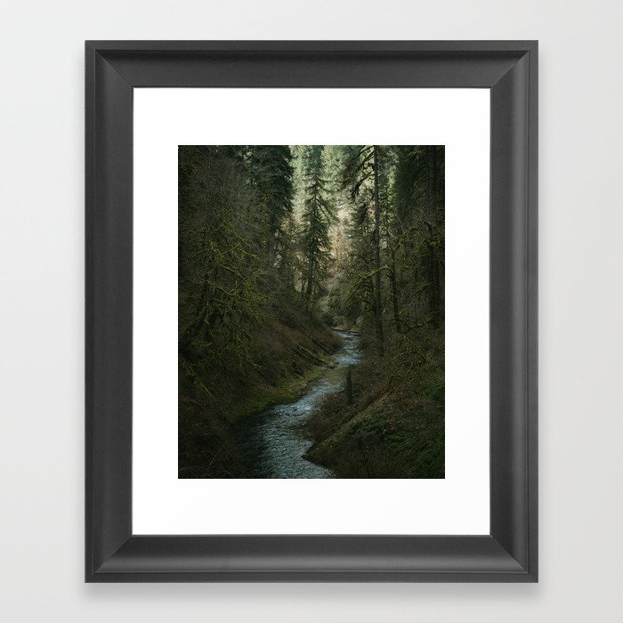 Oregon Forest V Framed Art Print