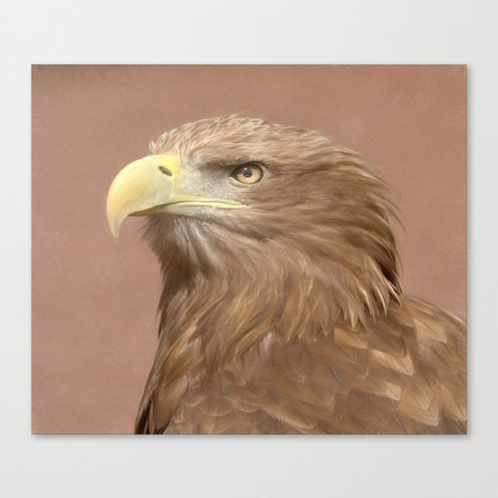 Sea Eagle Canvas Print