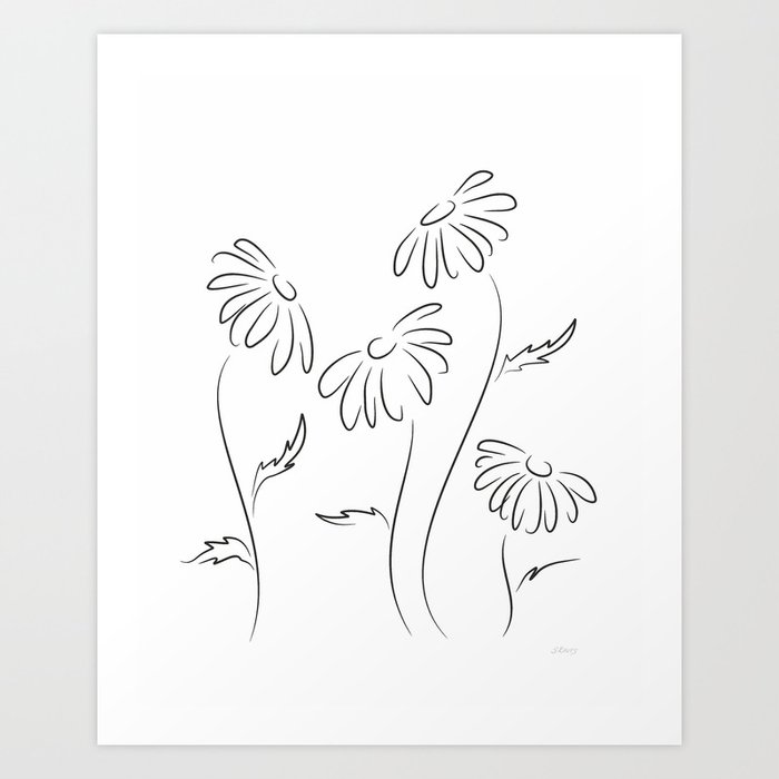 art Margaret Print and white Black Art Oxeye by flowers. daisies | line sketch. Siret Society6