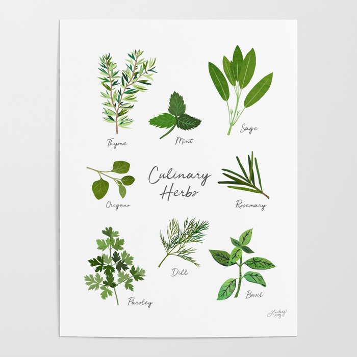 Culinary Herbs Poster by Lindsey Kay Co | Society6