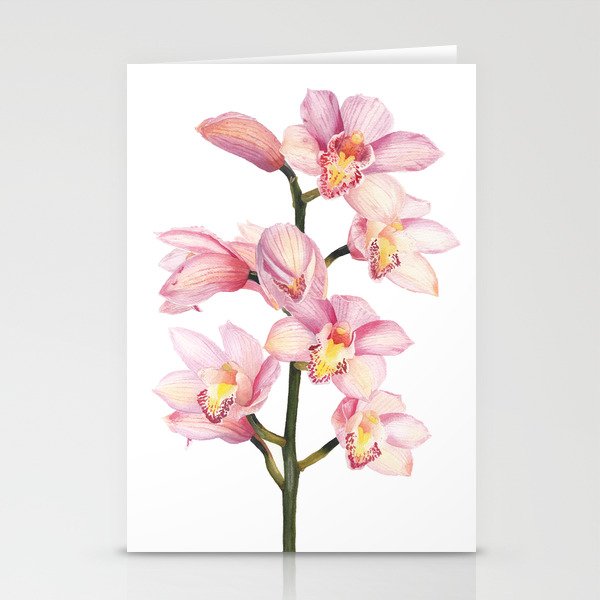The Orchid, A Realistic Botanical Watercolor Painting Stationery Cards