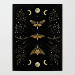 Death Head Moths Night Poster