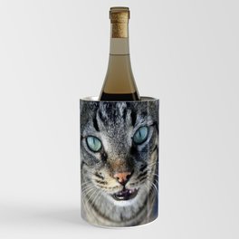 I Follow My Whiskers Tabby Cat Photography Wine Chiller