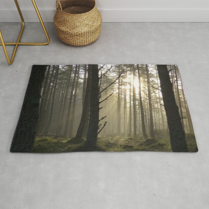 Winter Sun Beams in a Scottish Forest Rug