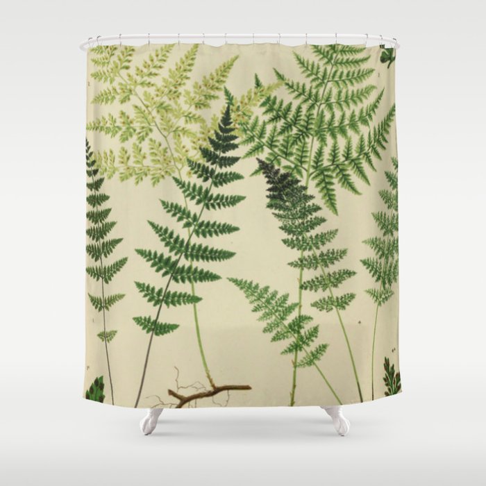 Botanical Ferns Shower Curtain