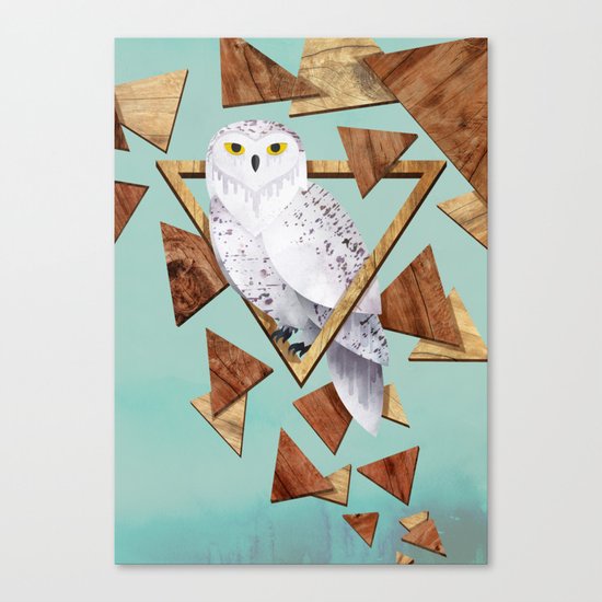 Owl in the Woods Canvas Print