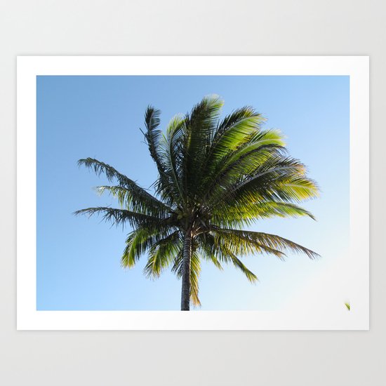 Palm Art Print