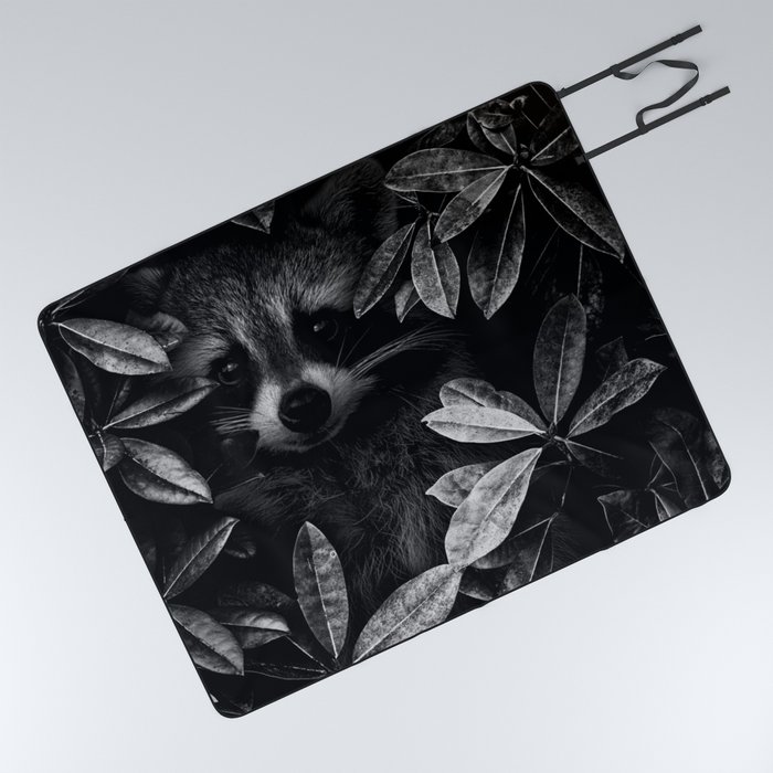 I spy - under cover of the night; baby raccoon spying in the ivy at night wilderness nature animal black and white photograph - photography - photographs Picnic Blanket