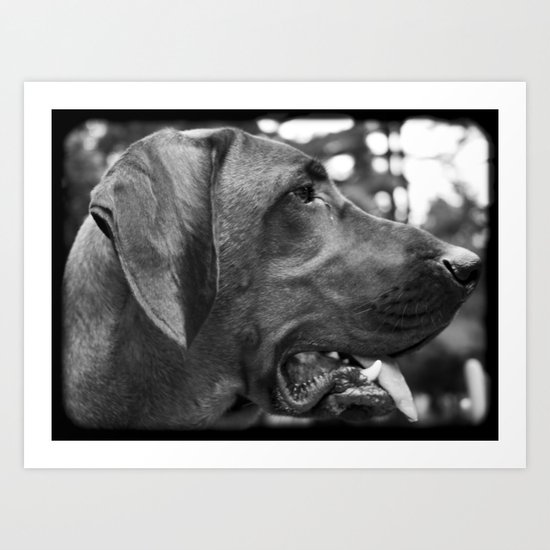 Redbone Art Print