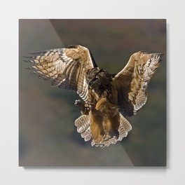 Real owl Metal Print | Naturephotography, Birdsofprey, Digital, Photo 