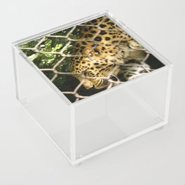 Caged Beauty Acrylic Box